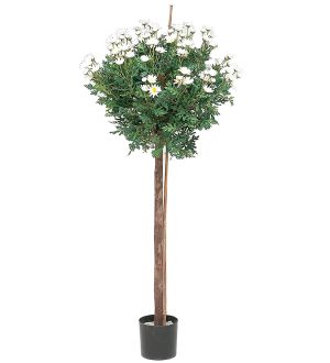 Mr Plant Marguritt 105 cm